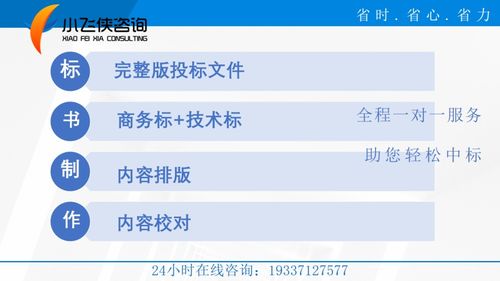 太康县2021标书制作本地公司 放心省心 小飞侠咨询