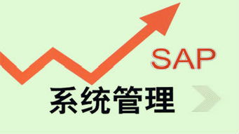 朗泽sap教育专业资料大全 精品文库